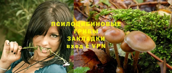 прущие крисы Беломорск