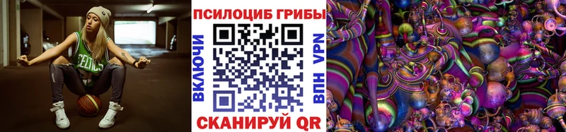 mega зеркало  Комсомольск  Галлюциногенные грибы мицелий 